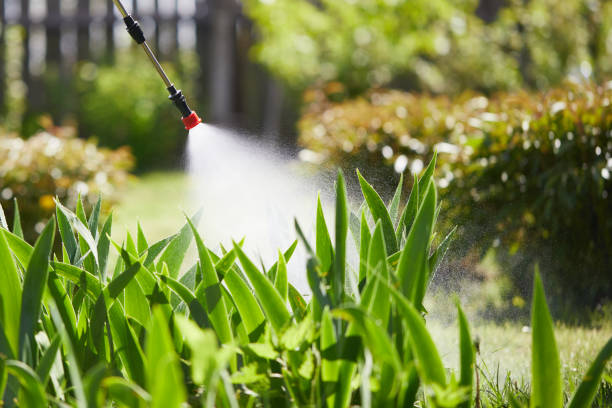 Tamper-Resistant Bait Stations for Rodents in Vineyard Haven
