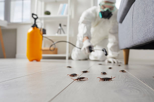 Commercial Rodent Management in Vineyard Haven